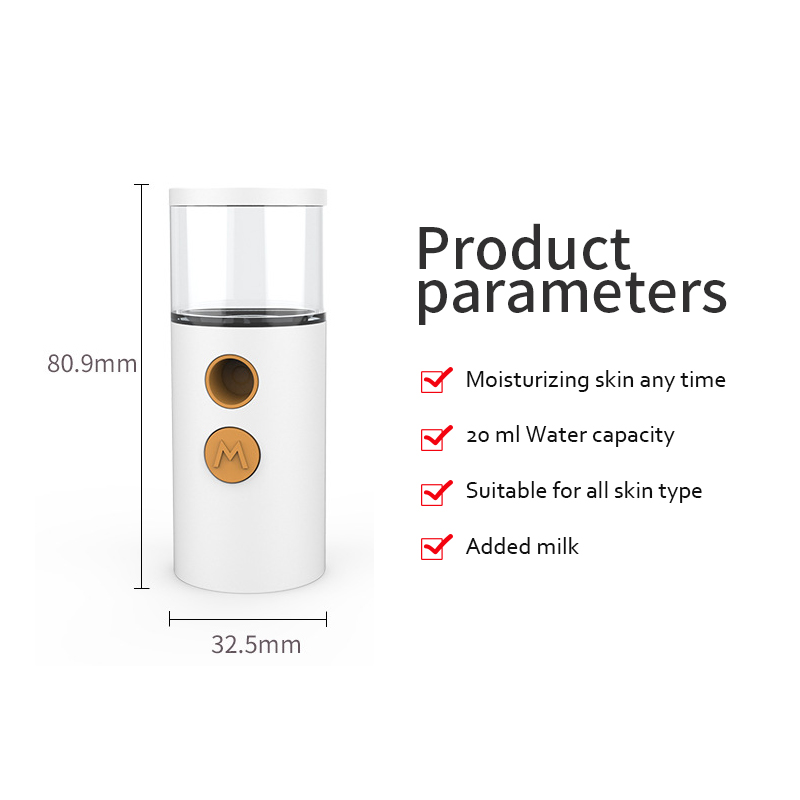 Hot Sale High Quality Factory Price Portable Handy LED Light Ionic Facial Steamer Nano Mist Sprayer