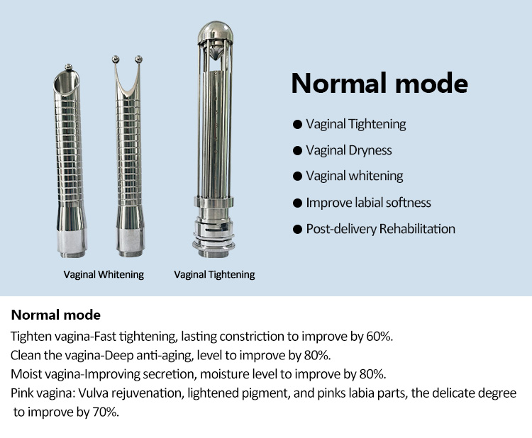 CO2 Fractional Laser Machine Internal System 11