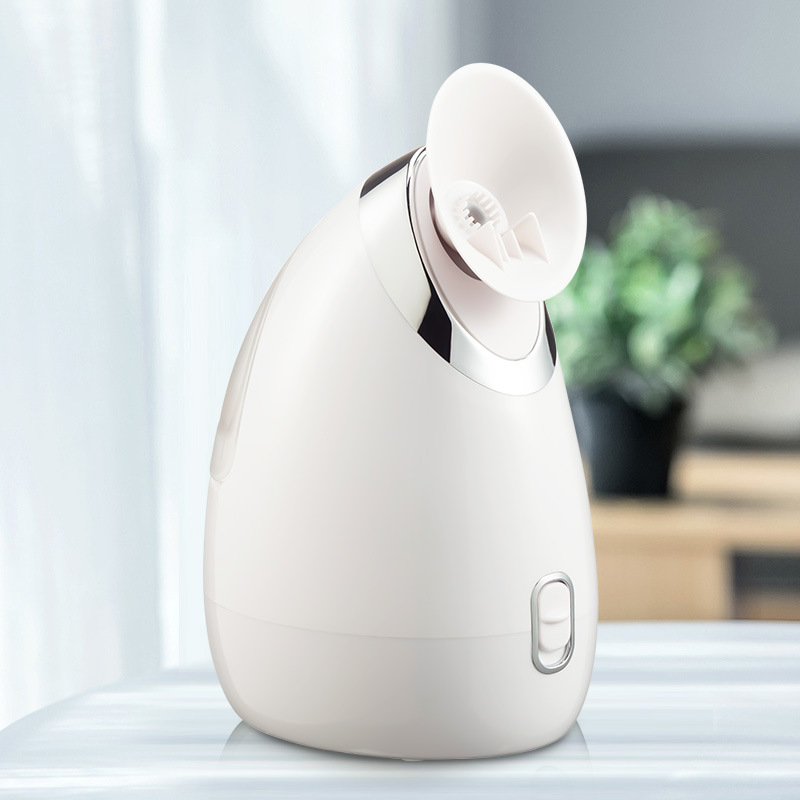 New Arrival Portable Ionic Facial Steamer Sprayer for Face 100ml Nano Machine