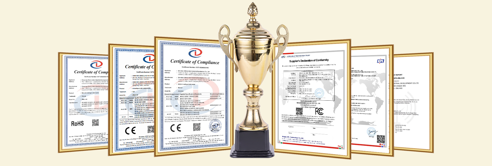 Certification Certificate