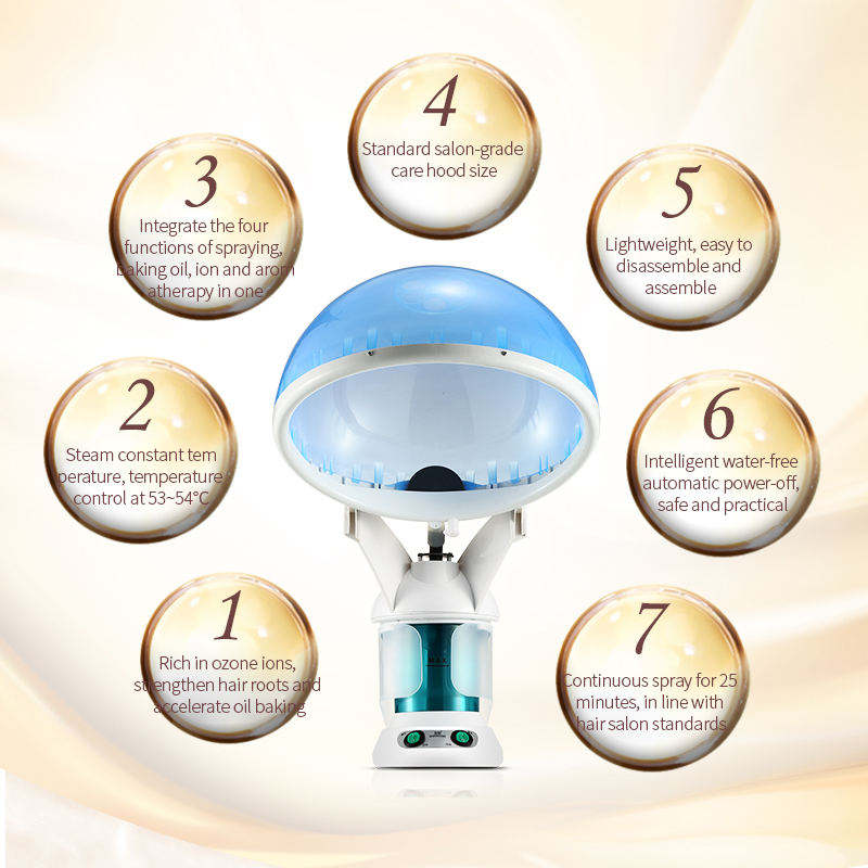 Personal Care Hair Spa Hair Steamer For Beauty Salon Use Hydrating Nano Mist Sprayer Hot Steamer