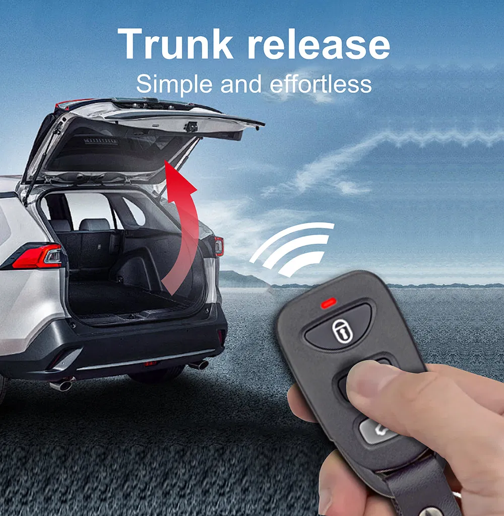 Keyless Entry Module