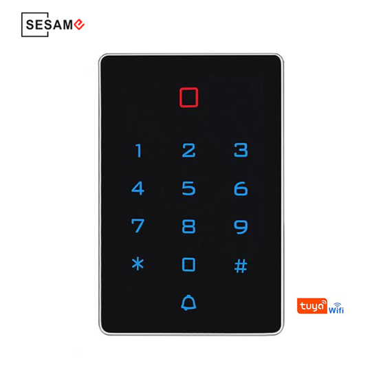 Durable High Efficiency ABS Keypad 125kHz Em/ID Card Readerfrequency WiFi Access Control System Wiegand Interfaces Plastic (ST12D (EM IP68))