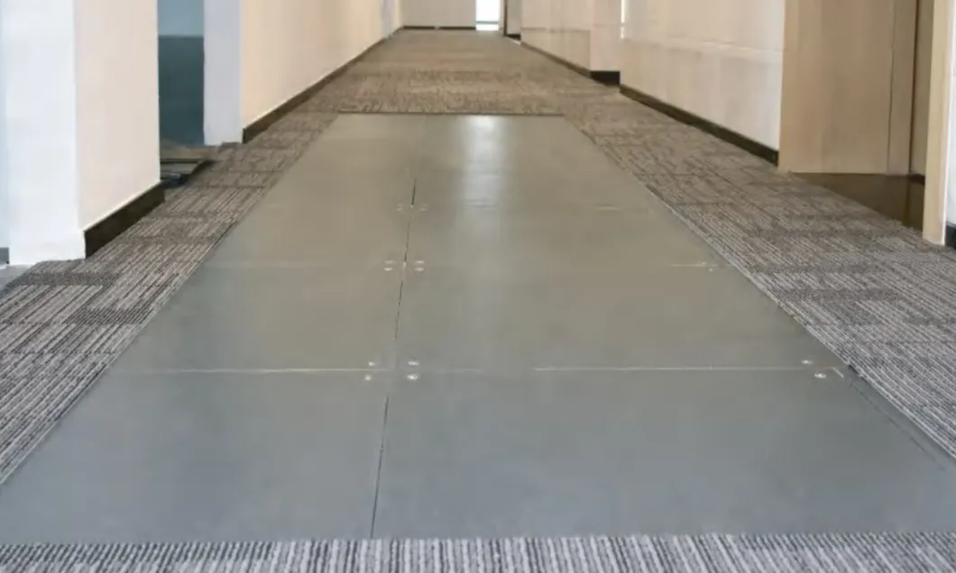 Raised Floor Installation