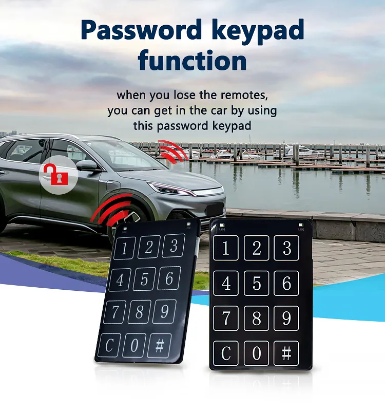 PKE Car Alarm Detail 4