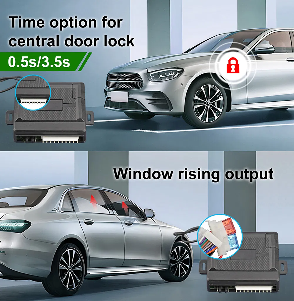 Car Security Accessory