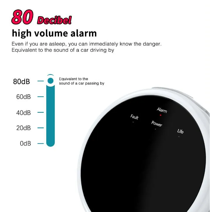 Gas Detector Detail 2