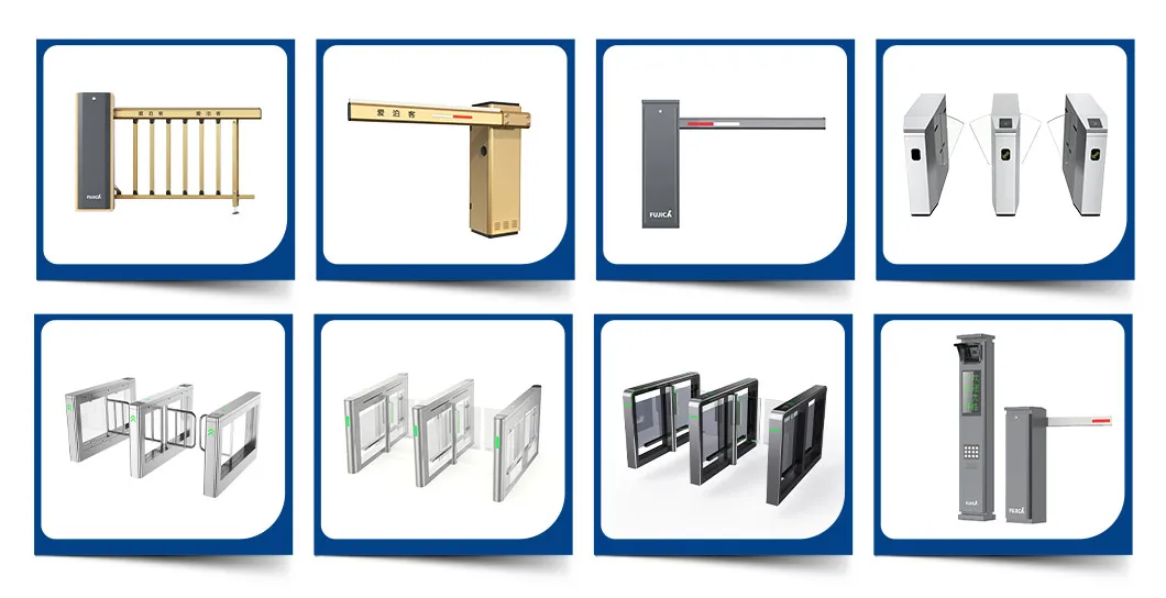 Main Products Overview