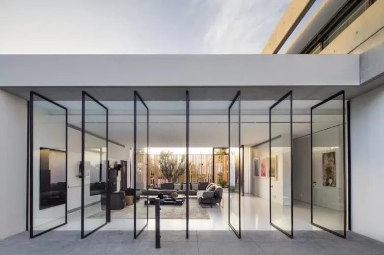 Modern Luxury Pivot Entry Door