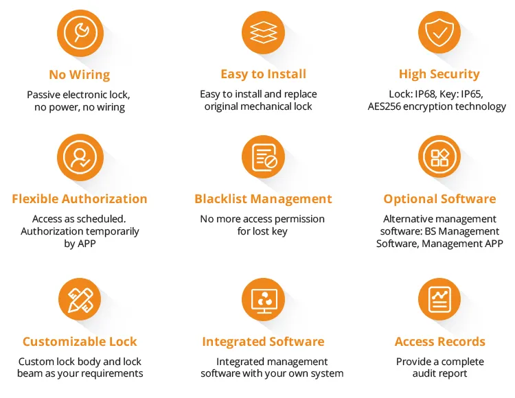 Electronic Key Application