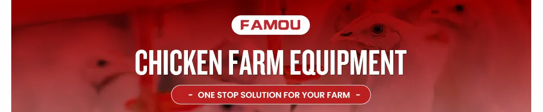 Automatic Feeding System Advanced Features