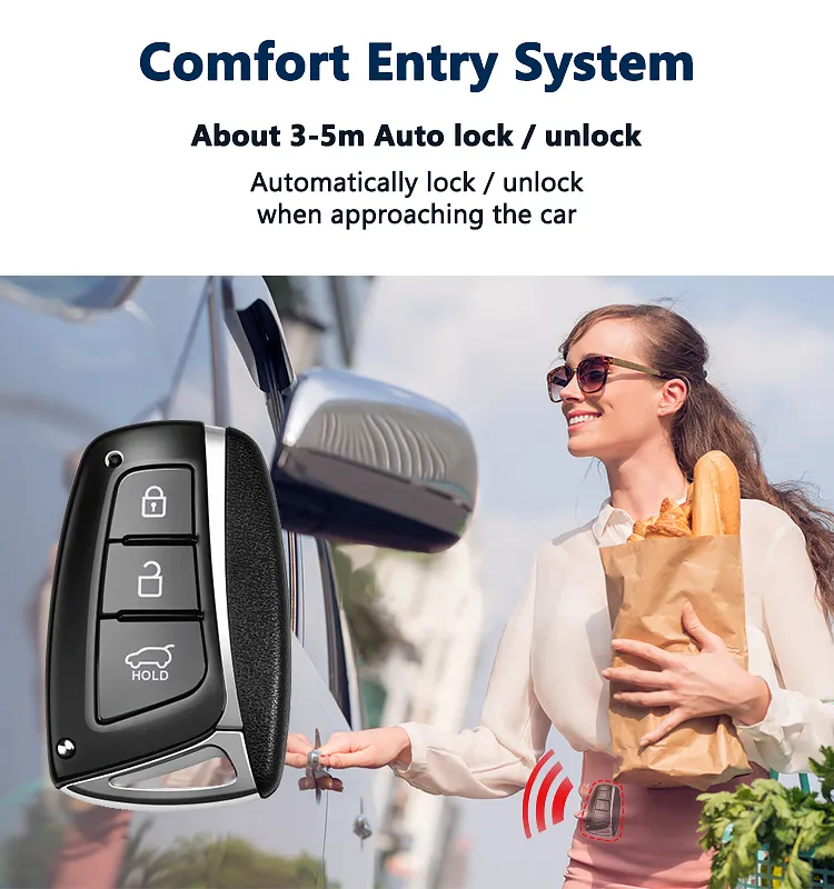 PKE Car Alarm Detail 1