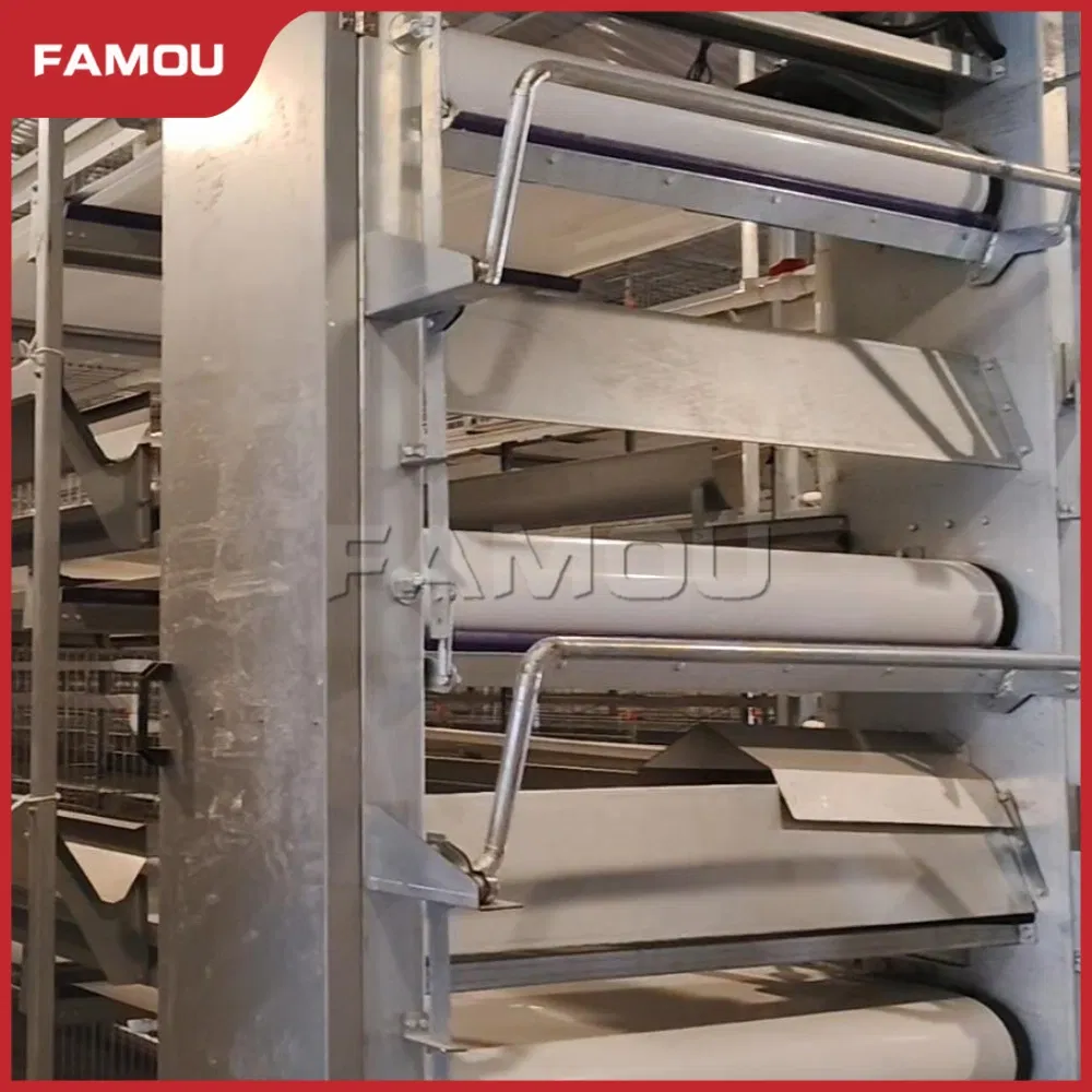 Fully Automatic Poultry Equipment with Multiple Protection and Alarm Equipment Ladder Type Automatic Feeding System