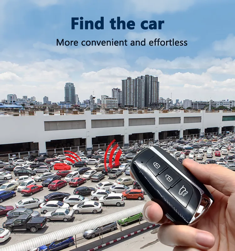 PKE Car Alarm Detail 6