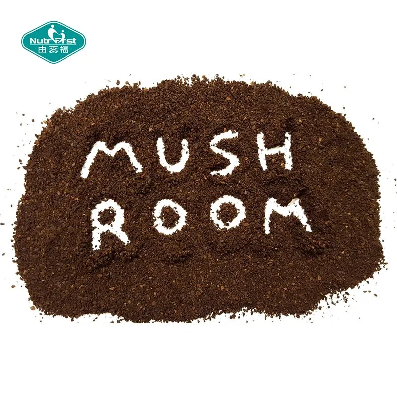Mushroom Coffee Benefits