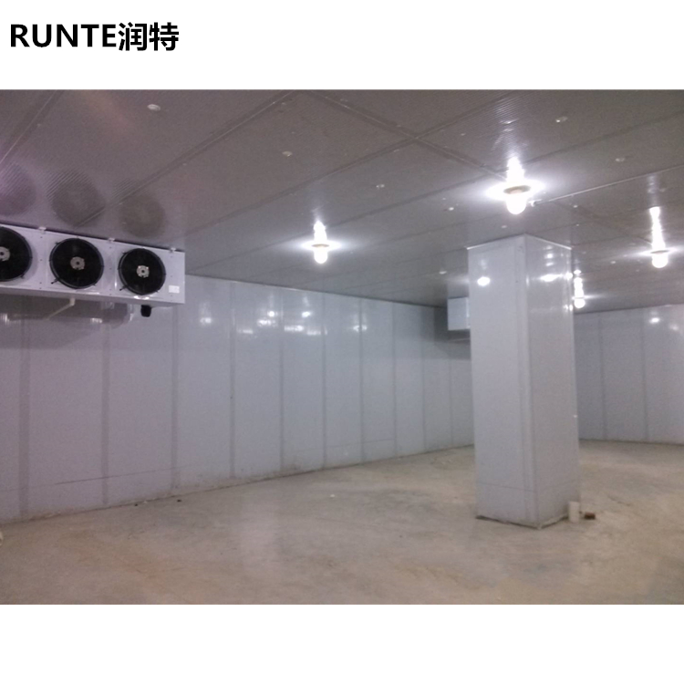 Runte 20% Electricity Saving Seafood Shrimp Cold Storage