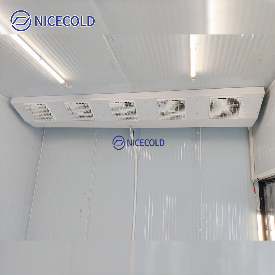 Commercial Cold Room for Meat Seafood and Frozen Food Storage