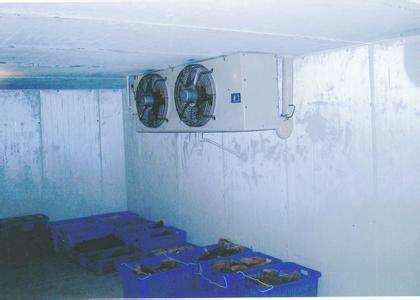 Cold Room Cold Storage for Fish and Seafood Storage