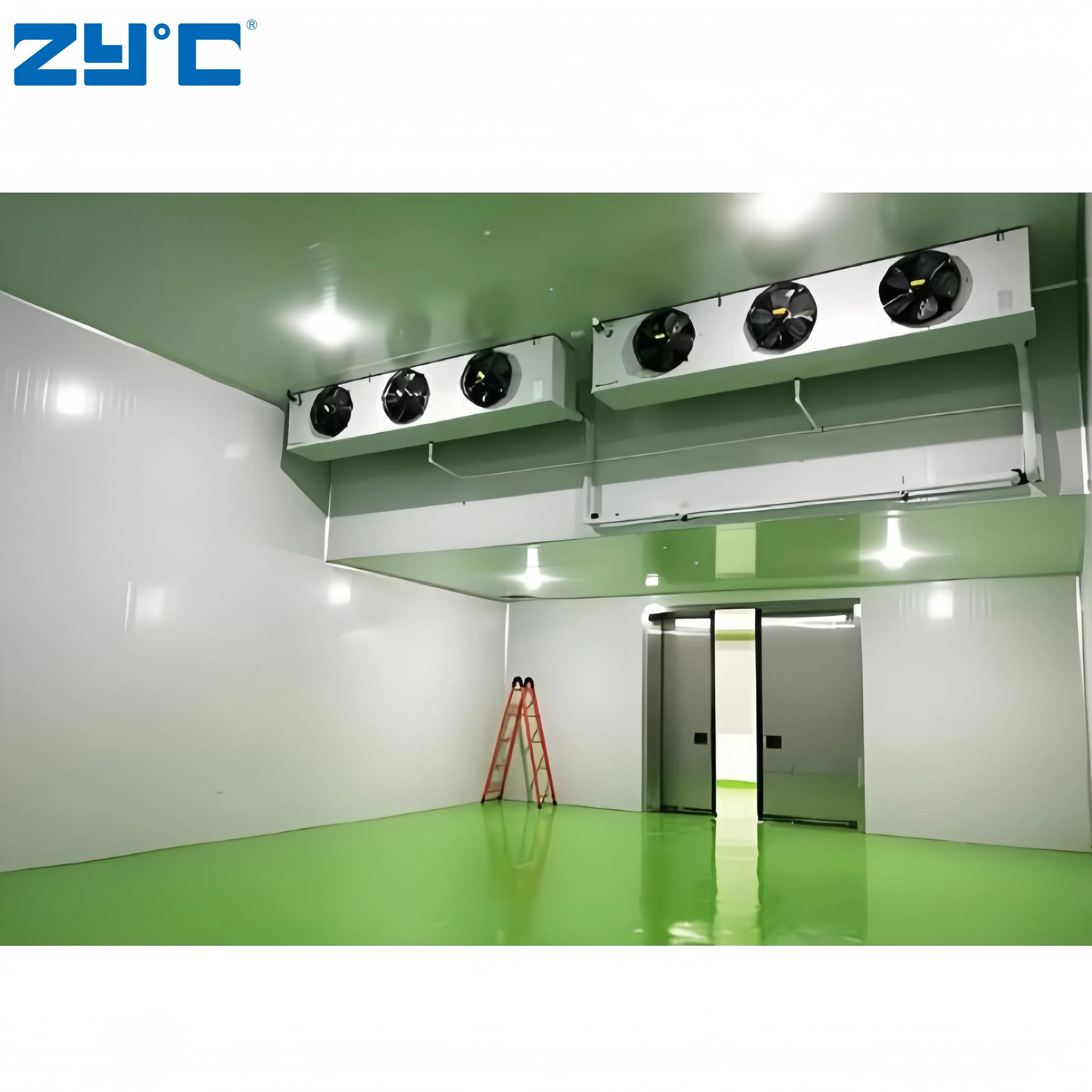 Specialized Walk-in Cold Room Custom Food Storage Temperature Control Cold Storage