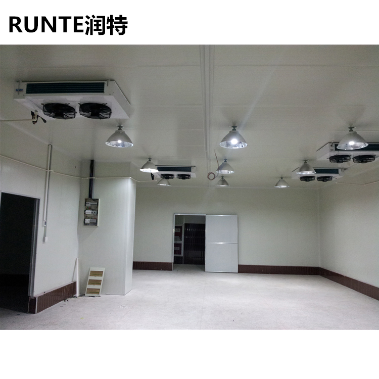 Runte 20% Electricity Saving Seafood Shrimp Cold Storage