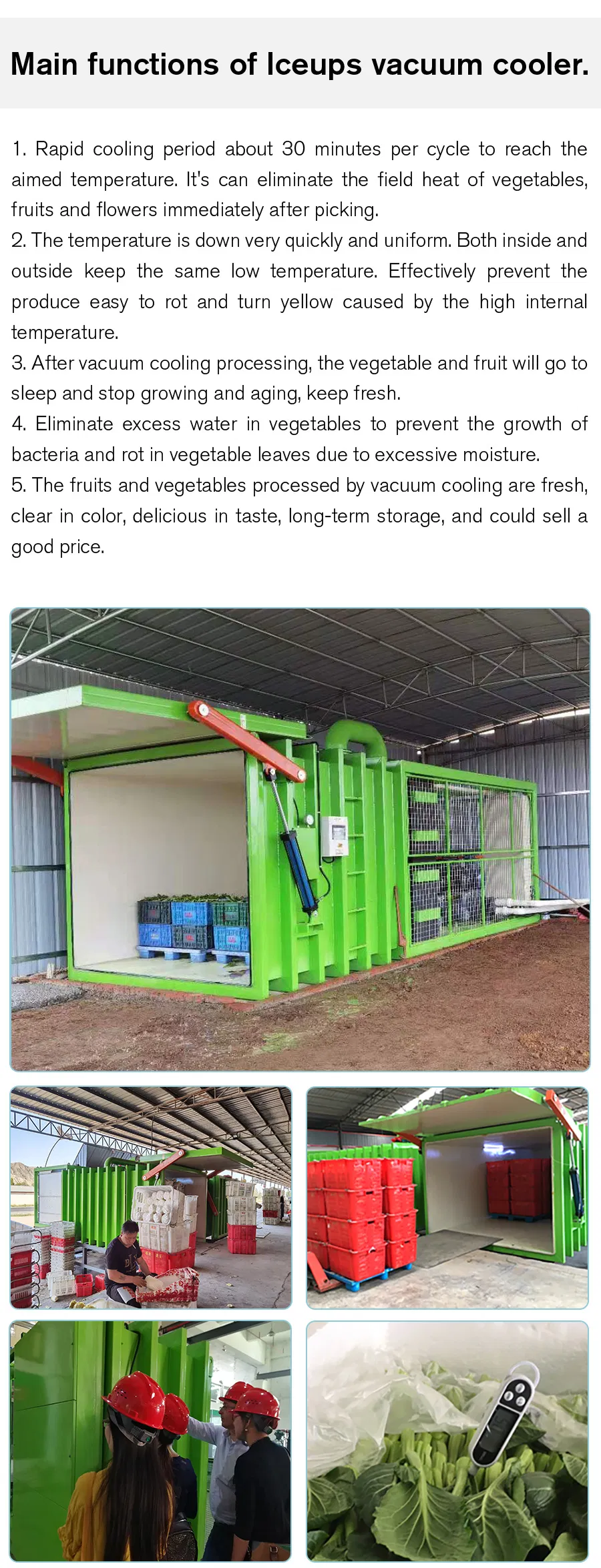 Vegetable Processing Machine