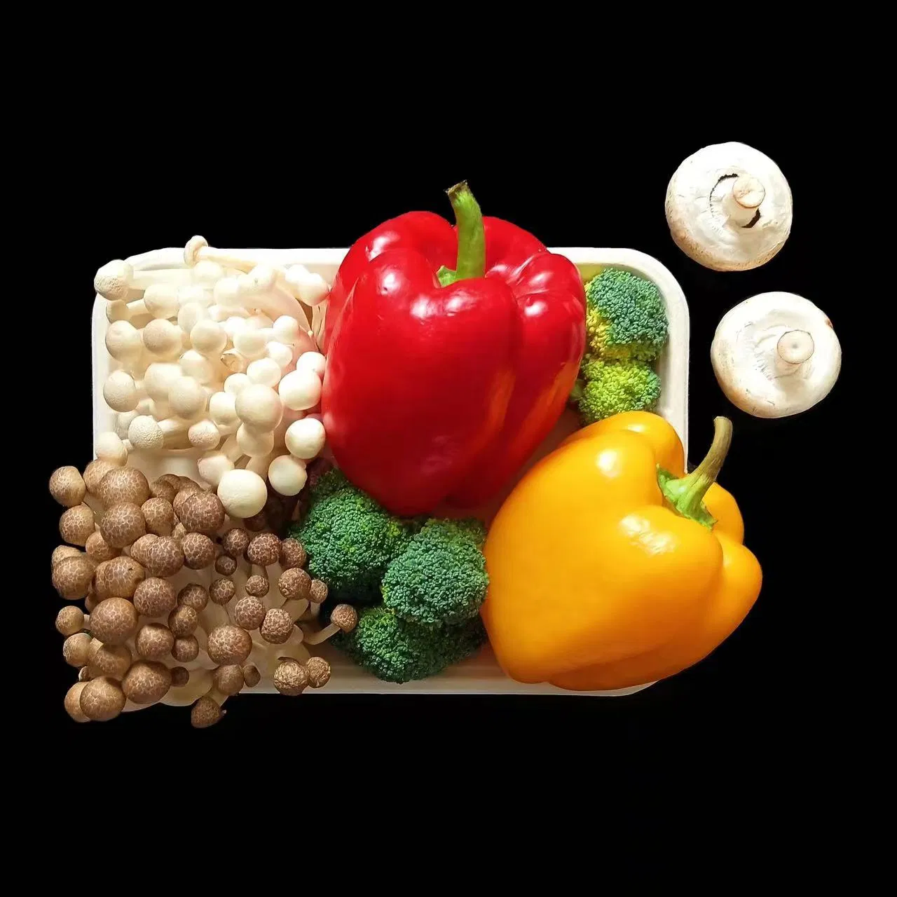 Factory Cheap Disposable Sugarcane Tableware Eco Friendly Food Container Biodegradable Lunch Box Packaging