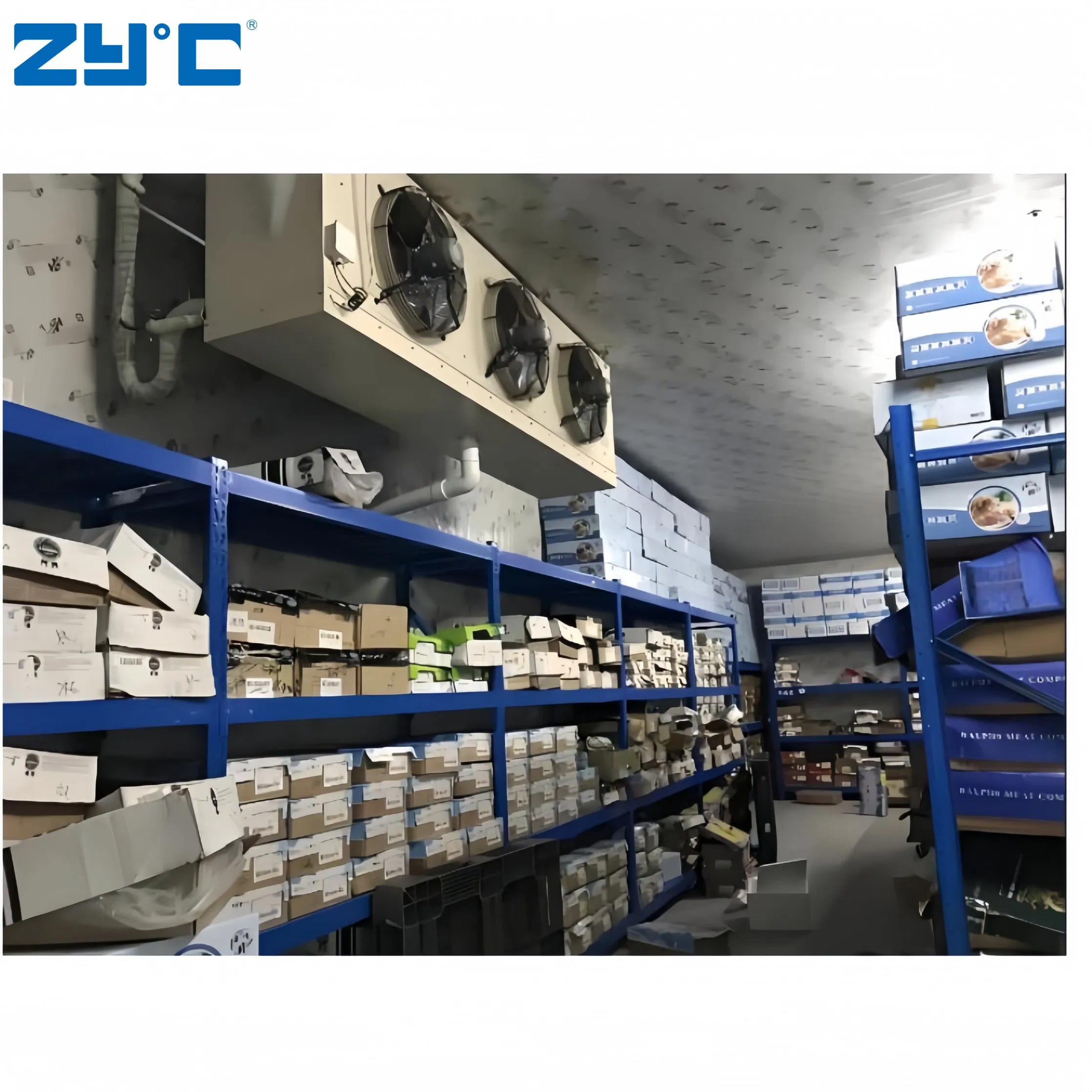Specialized Walk-in Cold Room Custom Food Storage Temperature Control Cold Storage