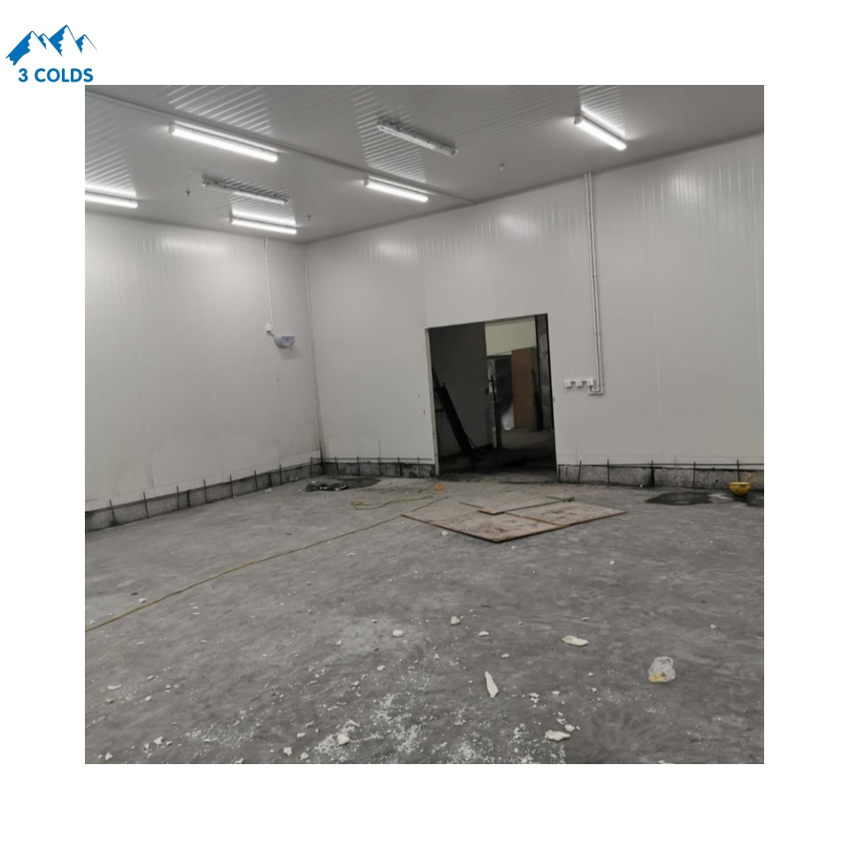 -18℃ Seafood Products Cold Storage for Fish Factory with Stainless Steel PU Panels