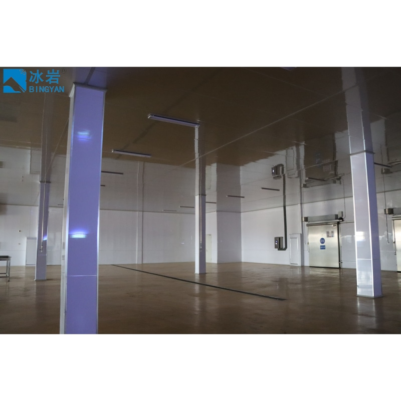 Custom Meat Seafood Refrigeration Equipment Freezer System Blast Freezer Cold Room Cold Storage