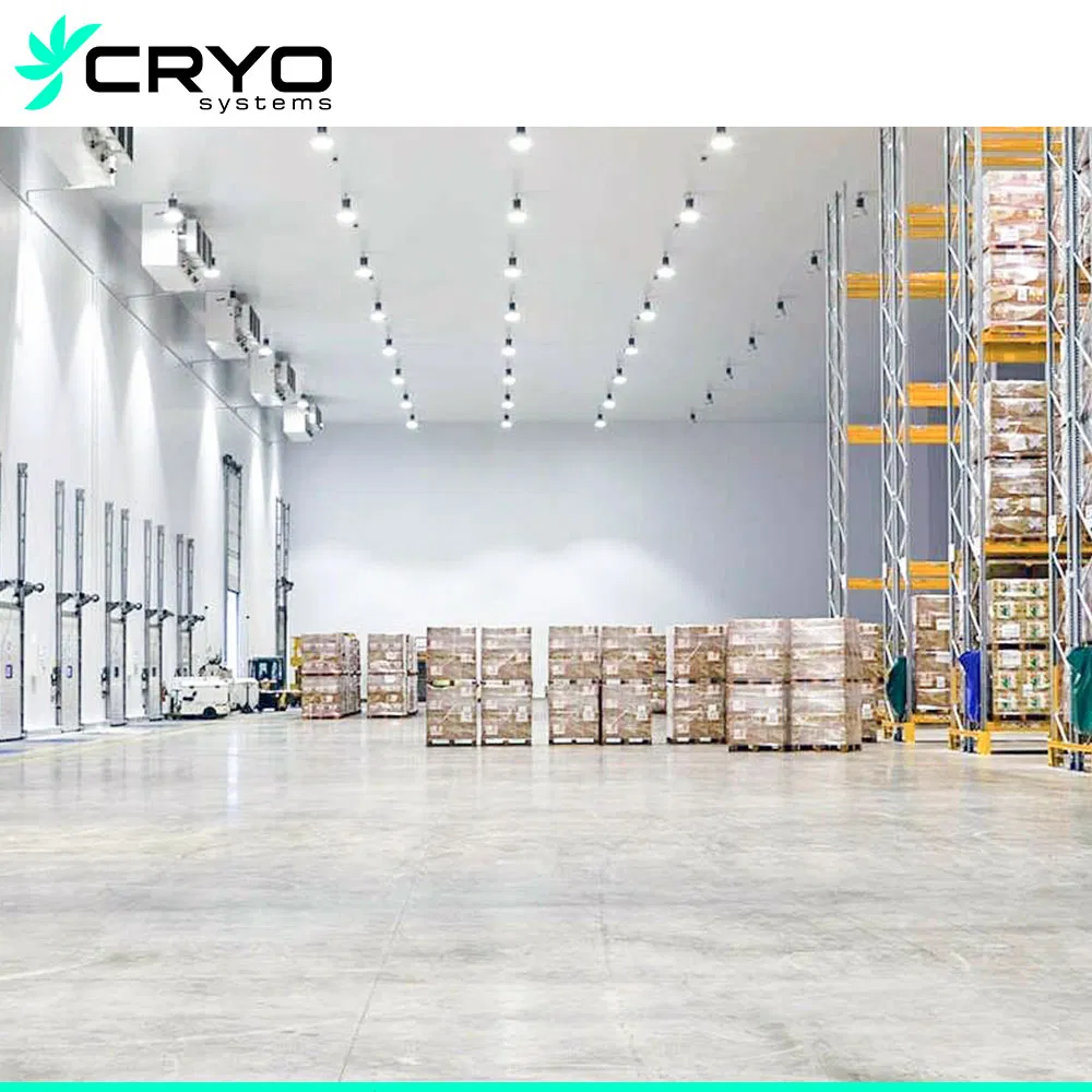 Frozen Chicken Specification Grouper Fish Cold Food Storage Cold Storage Yogurt Refrigeration Store