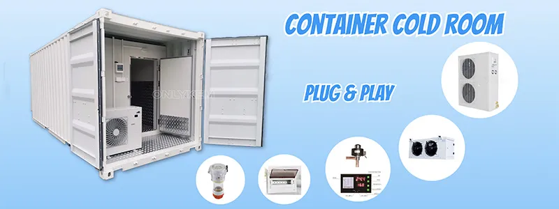 Cold Storage Container