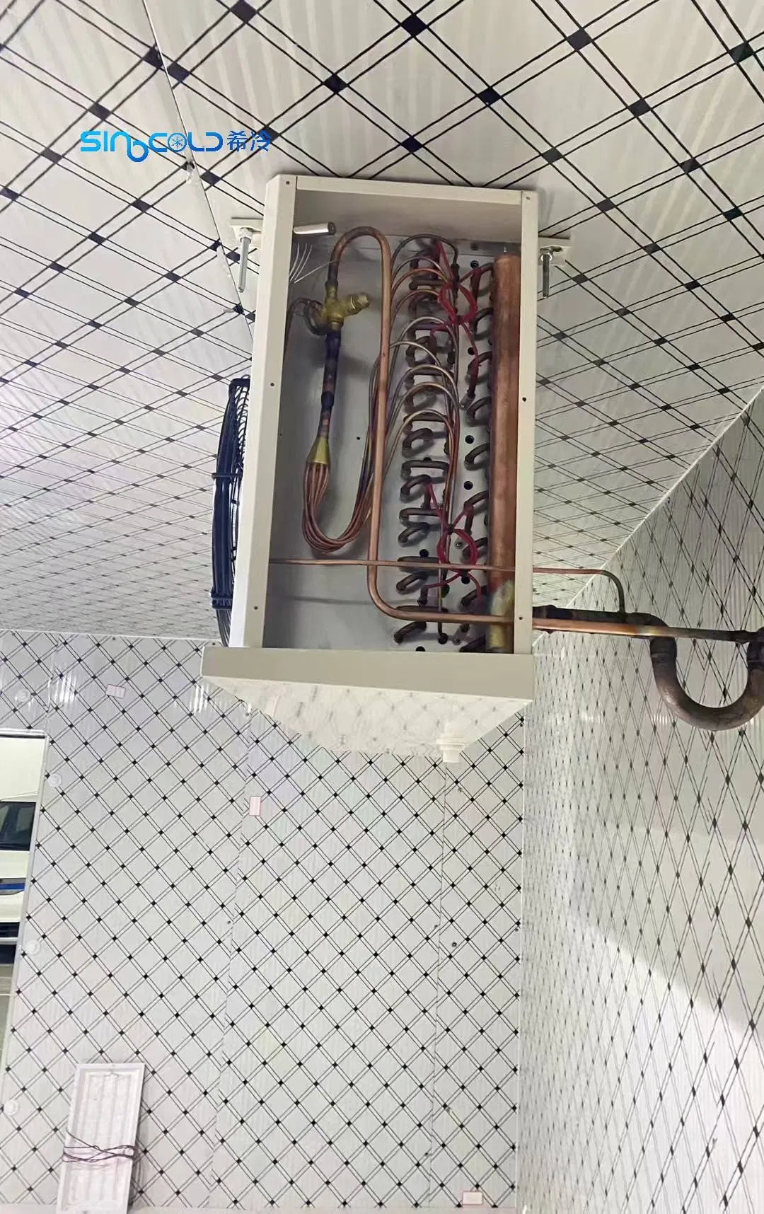 High Quality Custom Cold Storage Rooms Small Medium Large Sizes for Meat, Seafood, Fruits and Vegetables