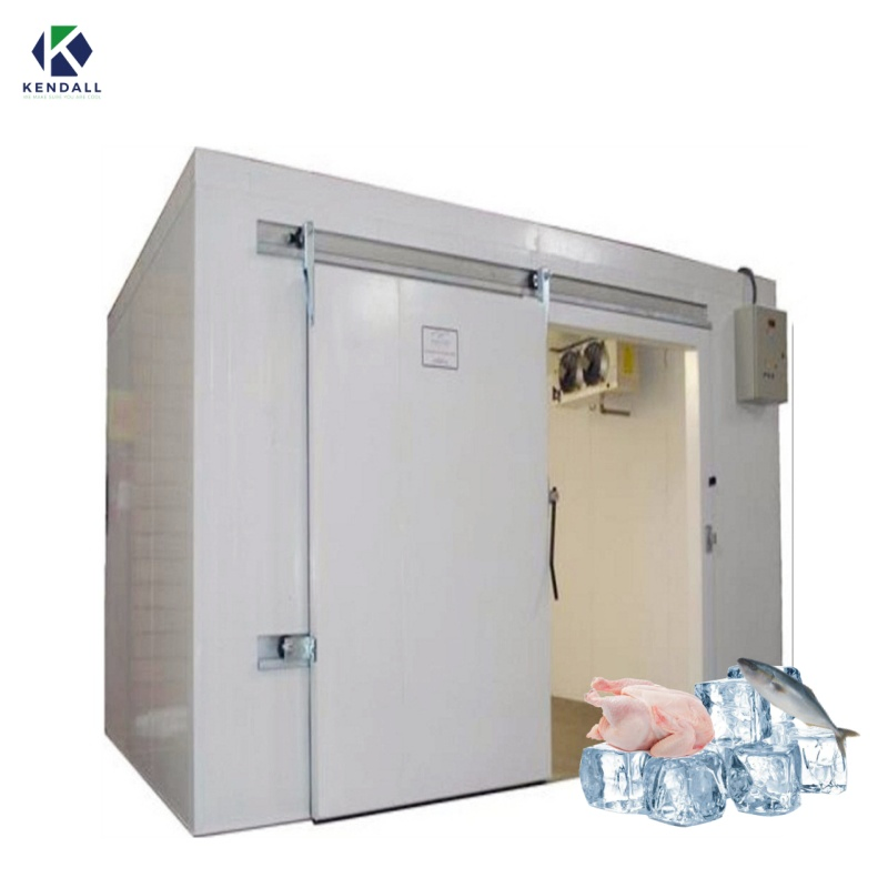 Cold Storage Coldroom Chambre Froide Seafood Freezer Chamber for Ice Cream