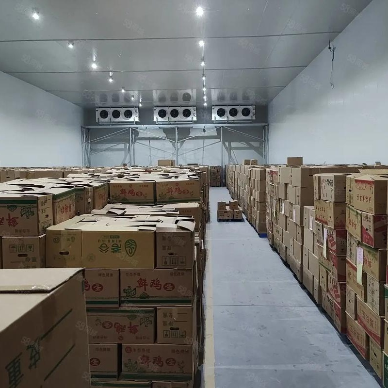 Walk-in Cold Storage for Food Preservation