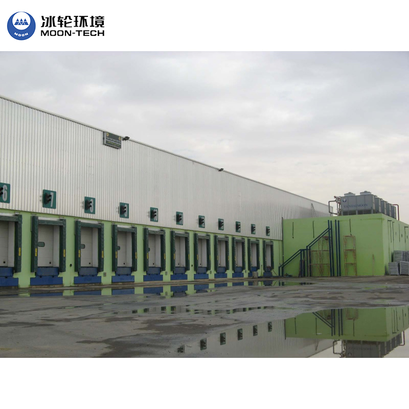 Large Industrial Cold Chain Logistics Fish Vegetable Fruit Seafood Onion Freezer Cold Room Storage Walk in Freezer/Cold Storage Price