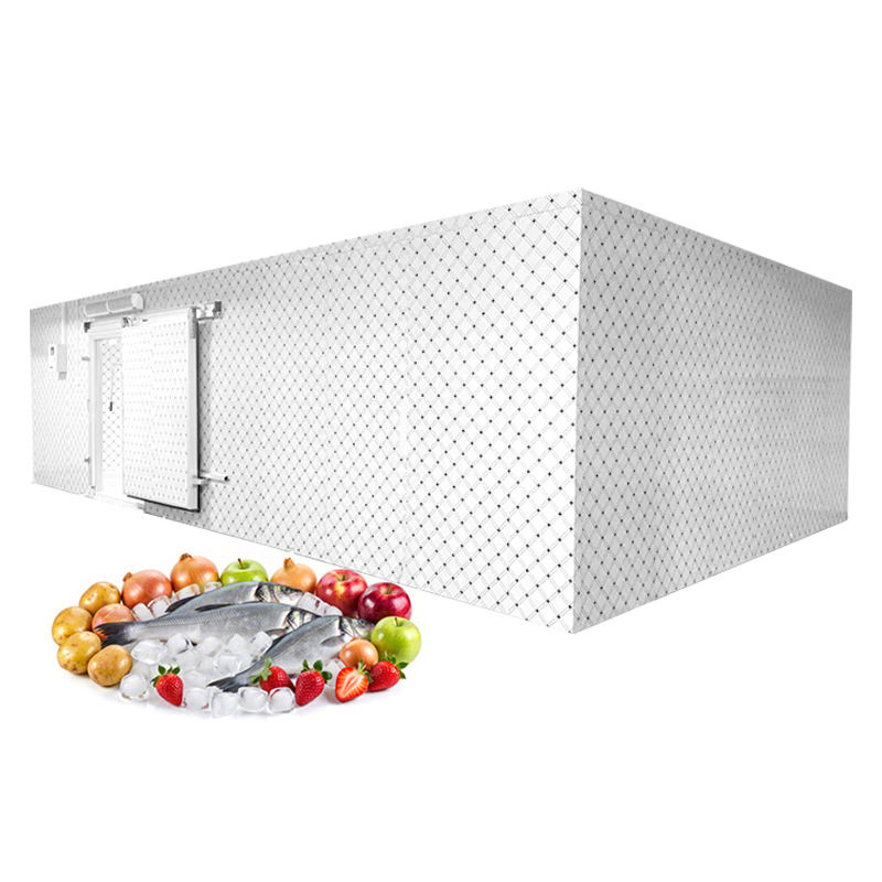 High Quality Custom Cold Storage Rooms Small Medium Large Sizes for Meat, Seafood, Fruits and Vegetables
