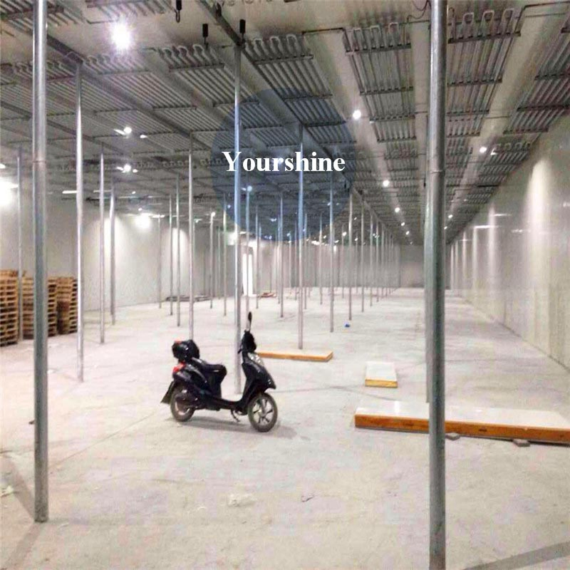 Galvanized Steel Structure/Cold Storage for Eggs&Food