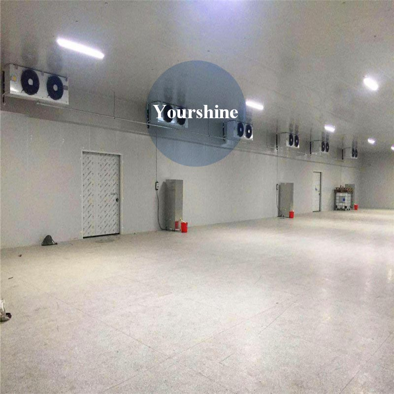 Galvanized Steel Structure/Cold Storage for Eggs&Food