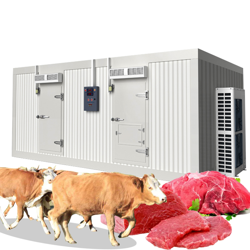 Commercial Deep Freezer Vegetable/Food/Fish/Meat/Vaccine/ Industrial Walk in Solar Cold Room Storage