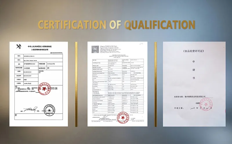 Custom Logo Option 1