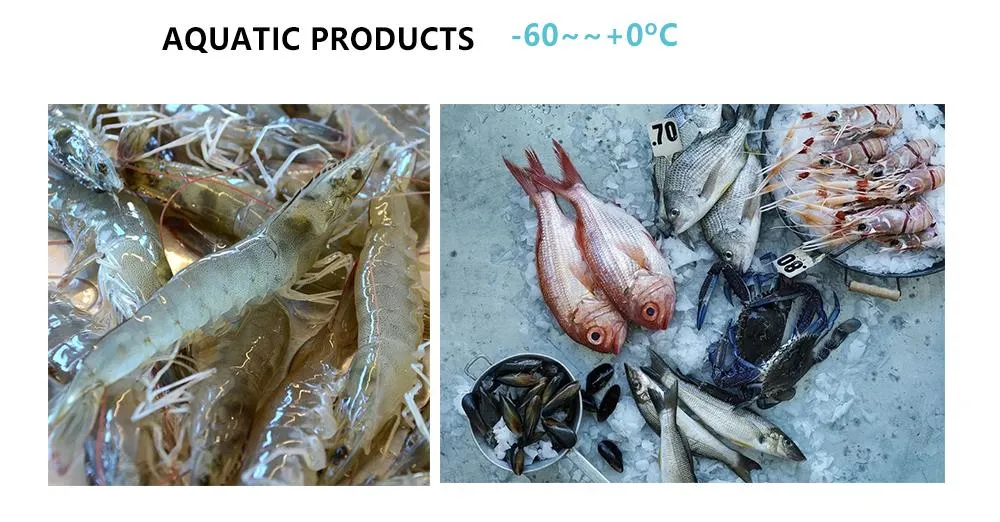 Industrial Cold Logistics