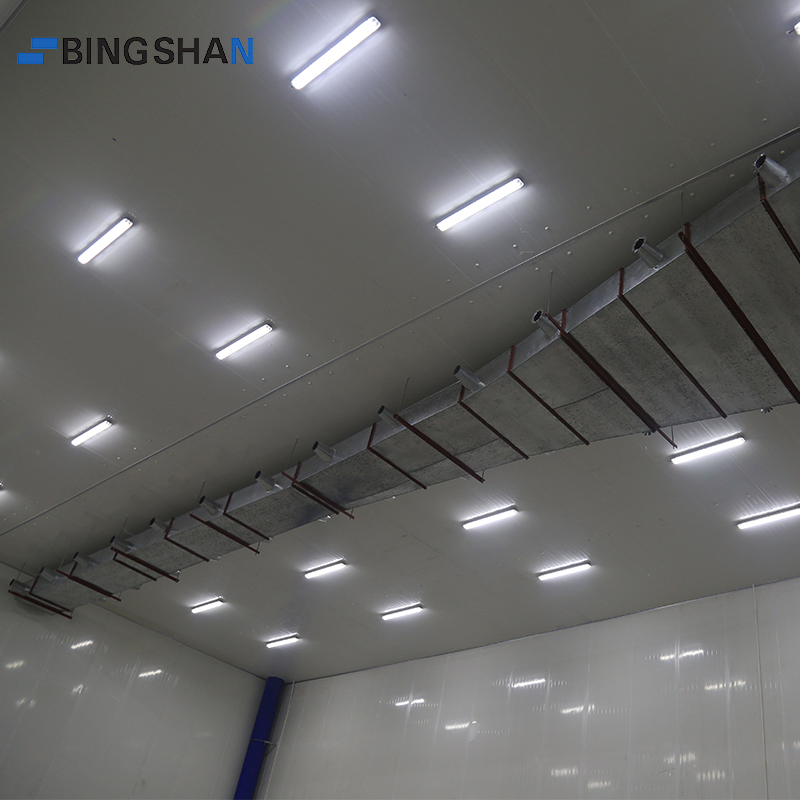 Design and Installation Cold Storage Facility for Fresh and Frozen Food Products