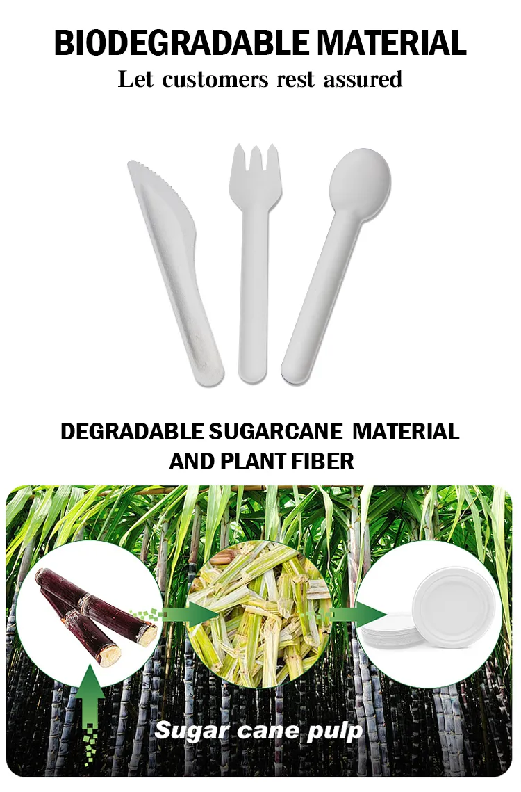 Sugarcane Cutlery Detail