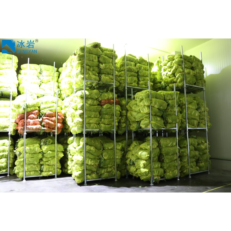 Custom Meat Seafood Refrigeration Equipment Freezer System Blast Freezer Cold Room Cold Storage