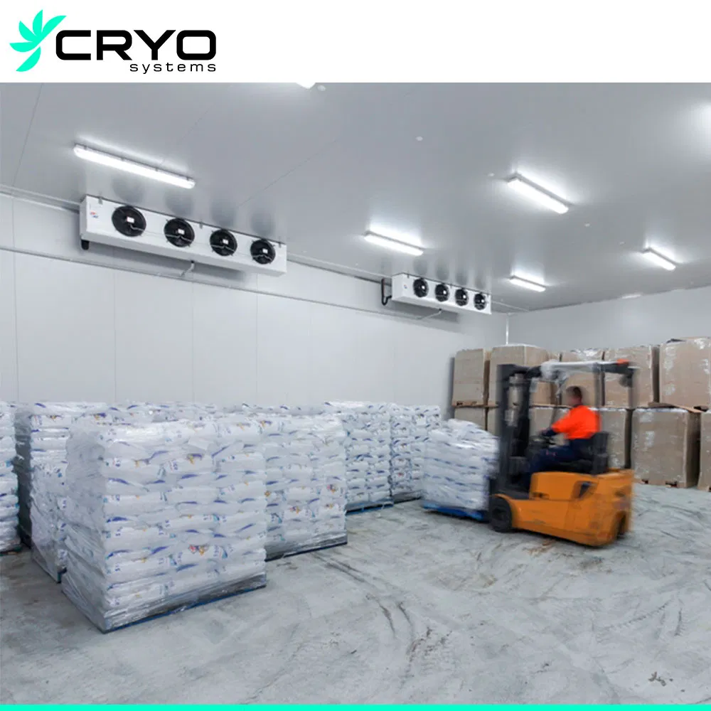 Frozen Chicken Specification Grouper Fish Cold Food Storage Cold Storage Yogurt Refrigeration Store