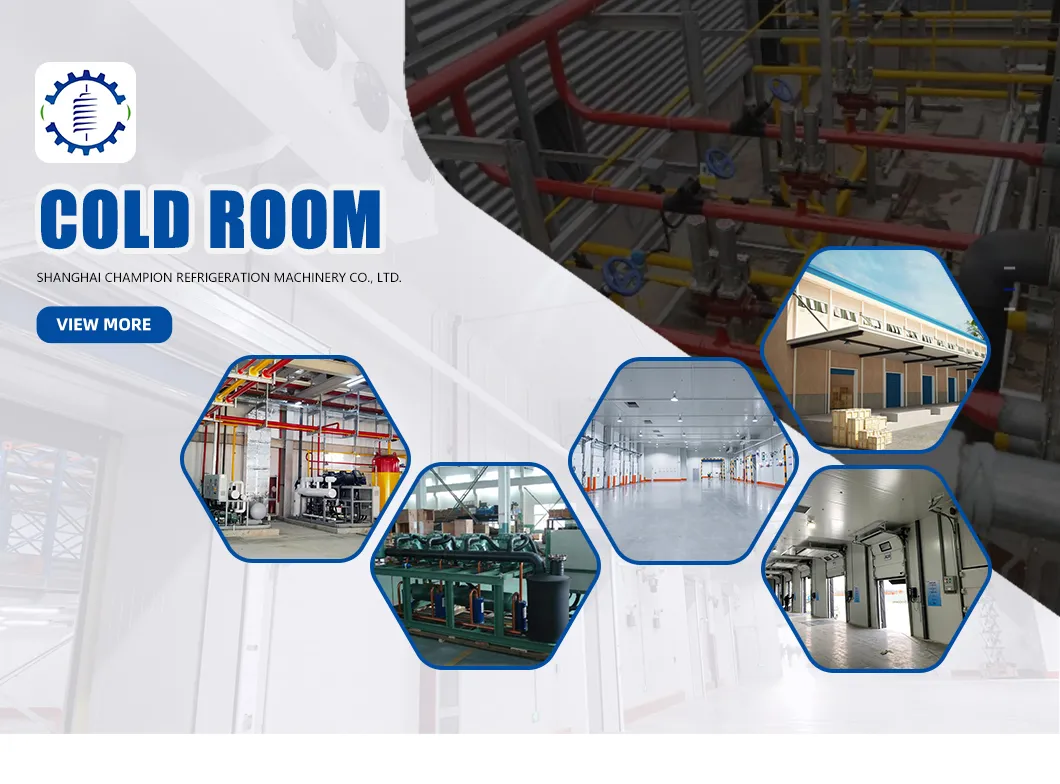 Cold Room Cold Storage