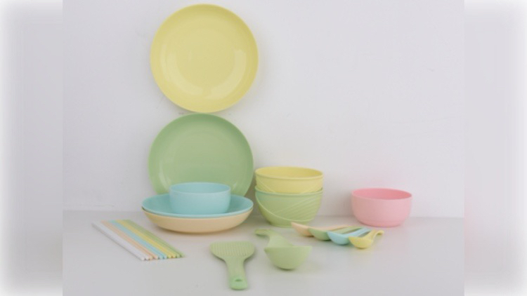 Biodegradable and Environmentally Friendly Household Tableware Set