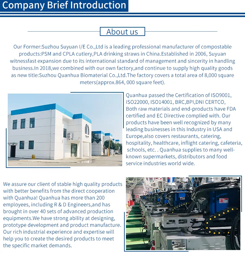 Disposable Utensil 8