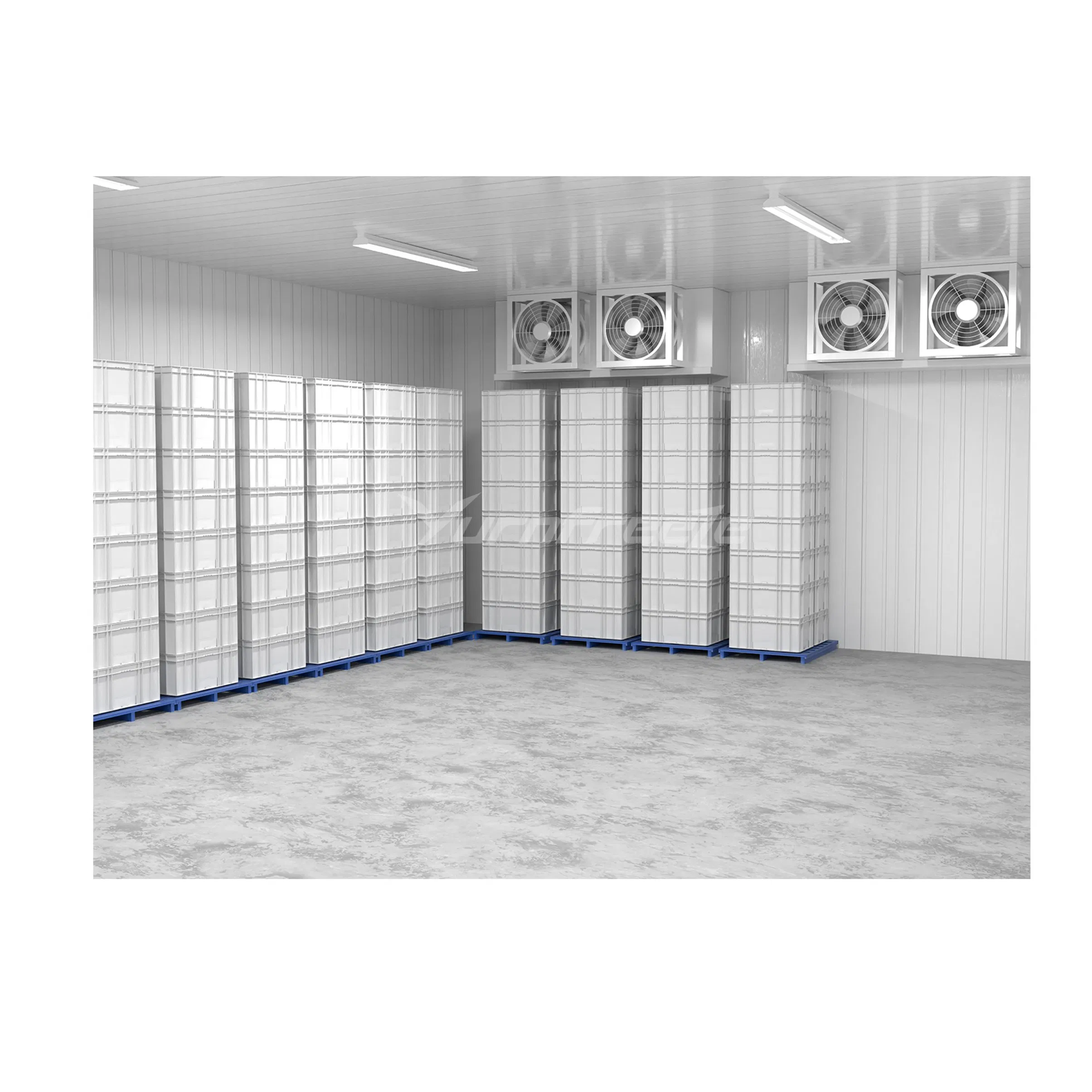 Turnkey Project Cold Room Cold Storage for Food Processing Factory Freezing Preservation Meat Seafood Poultry Dairy Products Prepared Dishes China Manufacturer