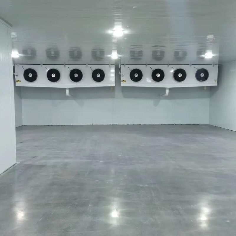 Walk-in Cold Storage for Food Preservation